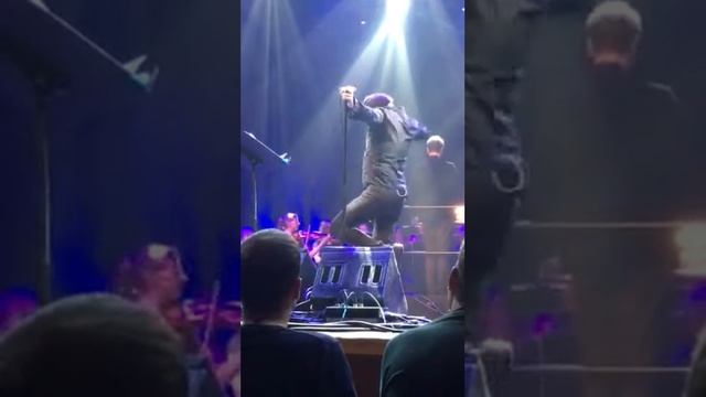 Mercury Rev - The Dark Is Rising