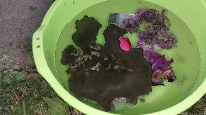 Чистка в потоке яснознания от боевой магии.