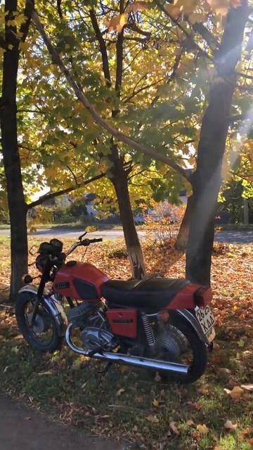 Иж Юпитер 5 Осень 🍂 #мото #мотоцикл #ижевск #ссср #shorts #иж #планета #юпитер5 #лето #жиза