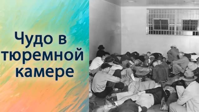Чудо в тюремной камере смотреть онлайн