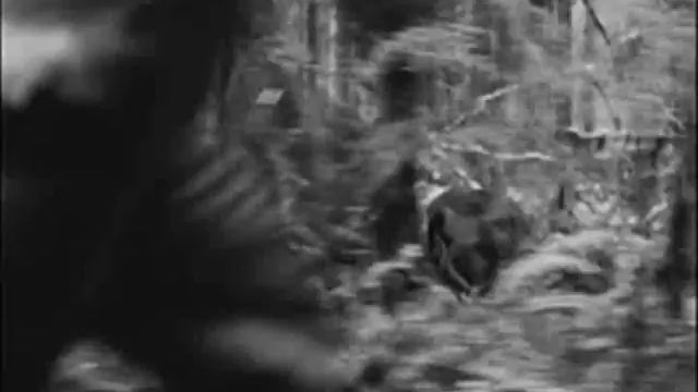 Edward and Bella - Twilight (The Beginning) смотреть онлайн