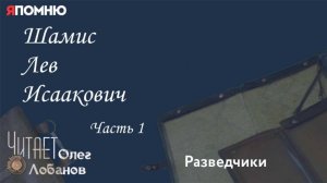 Шамис Лев Исаакович. Часть 1. Проект "Я помню" Артема Драбкина. Разведчики.