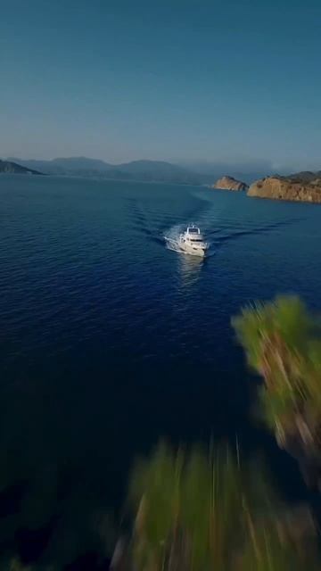 A20587B7-0678-43B0-8EBA-9A8822BF40EE смотреть онлайн