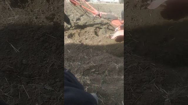 EXCALUBUR 17 ЛС БЕНЗИН смотреть онлайн