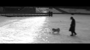 Анна Ворфоломеева — Миллионы лет