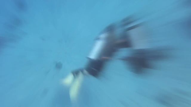 Egitto - Marsa Alam смотреть онлайн