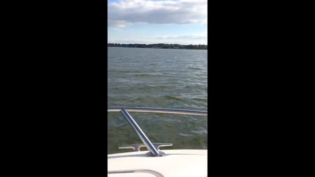 Sea ray with 225 Mercury смотреть онлайн