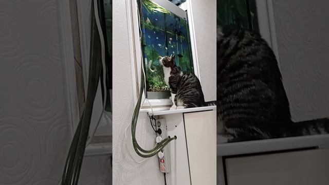 Лёва ловит рыбу😊 смотреть онлайн