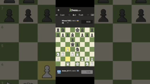 загонял Ферзя. интересная шахматная партия. смотреть онлайн