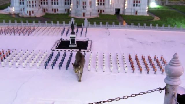 Смотр смотреть онлайн