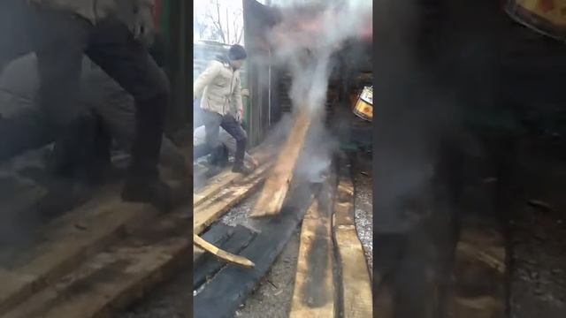 Сушка леса смотреть онлайн