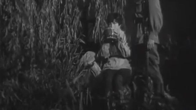 Гадюка. Советские фильмы. СССР