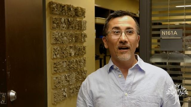 Artful cause: How high school ceramics students are helping save coral reefs смотреть онлайн