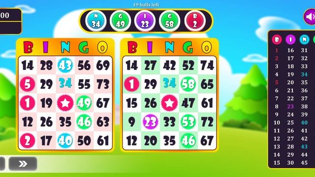 How To Play Bingo King | Bingo Master Game