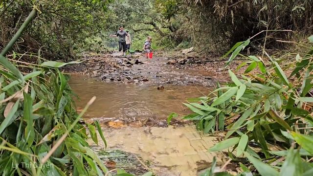 Single Mother: Grandfather Catches Giant Fish With Bamboo Net And Preserves Fish | Ly Thi Duyen