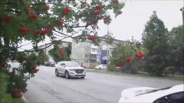 У дороги алая Рябина. г.Ачинск. ЮВР. Автор видео Елена Цыганова 15.08.19г. смотреть онлайн