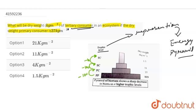 What will be dry weight (`kg m^(-2)` ) of tertiary consumer in an ecosystem if the dry weight prim смотреть онлайн