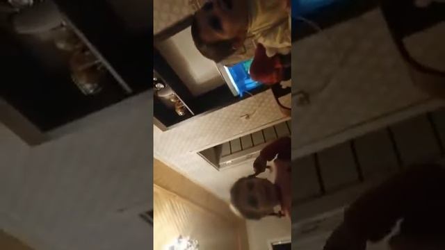 Şəms əlifba смотреть онлайн