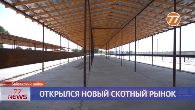 ОТКРЫЛСЯ НОВЫЙ СКОТНЫЙ РЫНОК смотреть онлайн