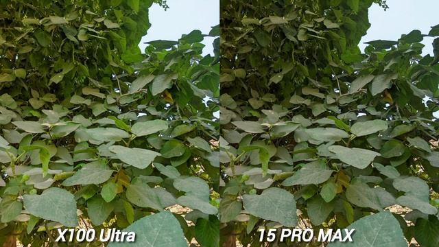 Vivo X100 Ultra VS IPhone 15 Pro Max Camera Comparison