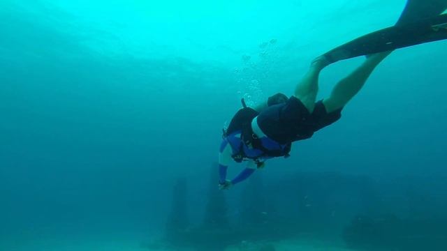 Scuba Diving @Neptune Memorial with Diver's Paradise Key Biscane (4 of 4) смотреть онлайн
