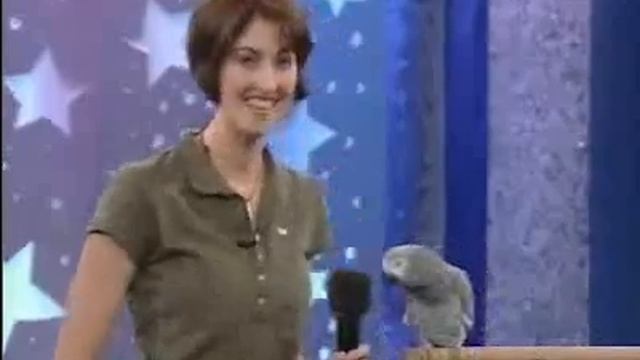 smart bird on animal planet. смотреть онлайн