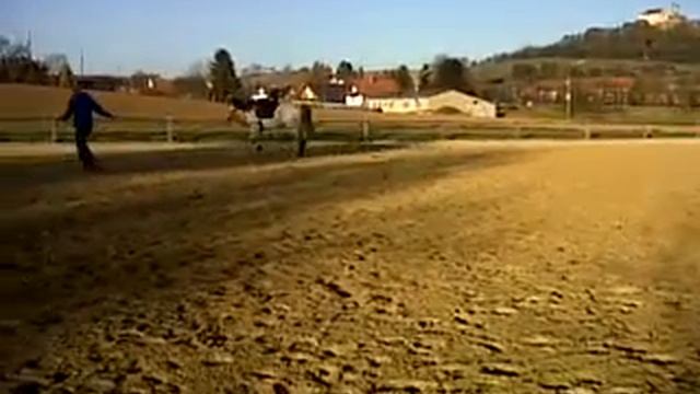 Pluton 28 11 11 2