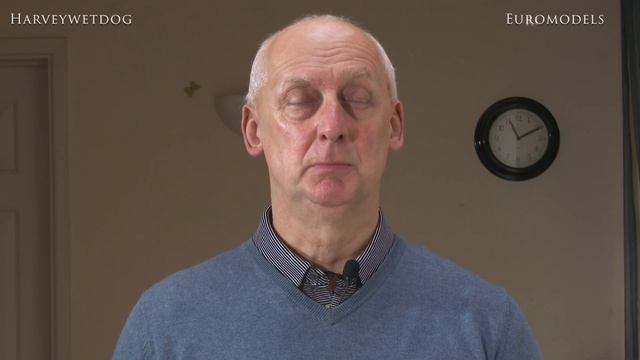 Introduction to Euromodels model boat kit box openings смотреть онлайн