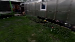 Как живёт простая семья в деревне. Майские праздники в горах Алтая, что делаем?