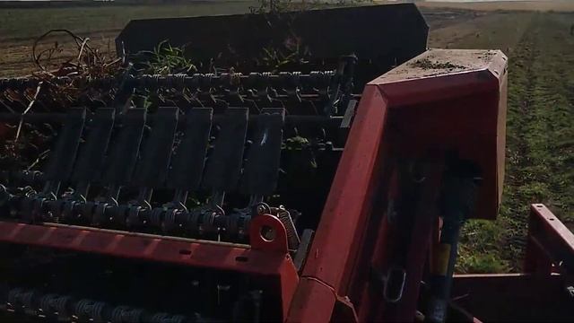 Cosecha de papa con cosechadora Grimme SE 150 60 смотреть онлайн