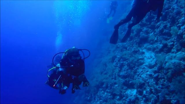 Marsa Alam Elfinstyone reef смотреть онлайн