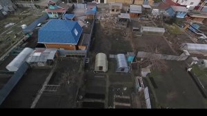 Шершни 2019-05-05