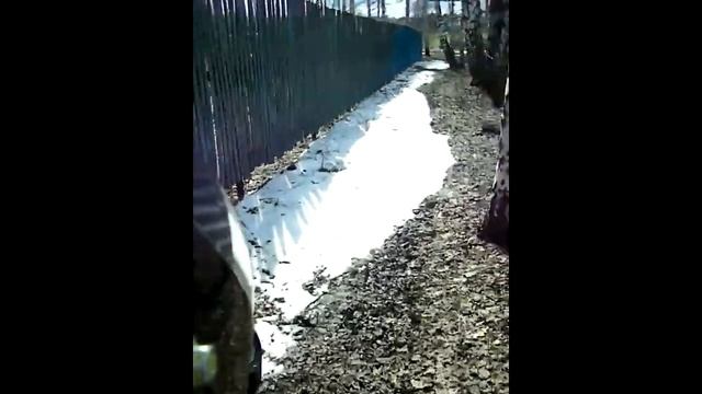 Покатушки #1 Прохват по бездорожью.