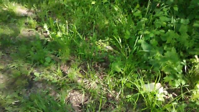 Тупые школьники дают советы как набухаться #дребада смотреть онлайн