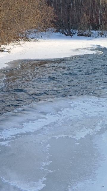 р. Базаиха г. Красноярск