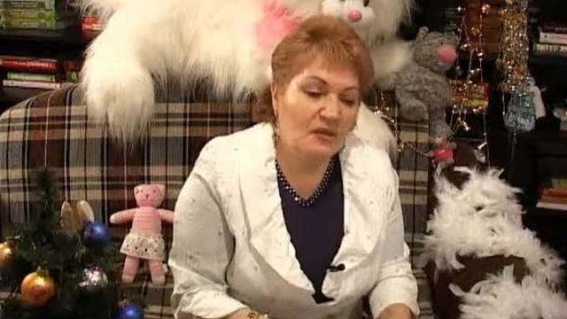 Подготовтесь к Новому году 2011