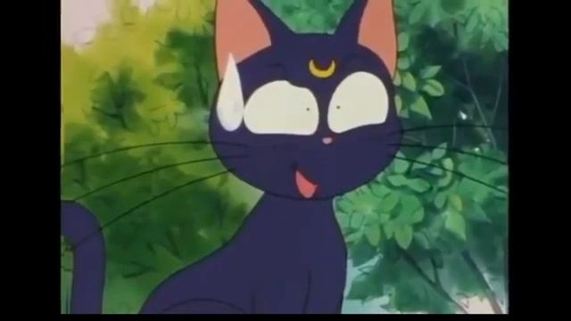 Fanfic Goku Sailor Moon cap31 parte 3 смотреть онлайн