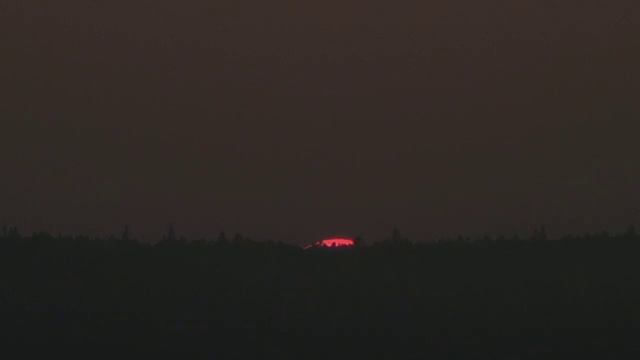 ~650мм ЭФР E-M1 + speed booster + Jupiter-21M 200\4 смотреть онлайн