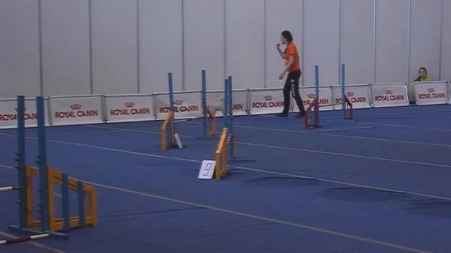 Чемпионат. Маслова Олеся и София смотреть онлайн