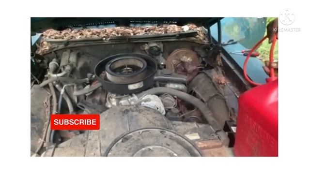 Rare 1972 4 door lemans смотреть онлайн