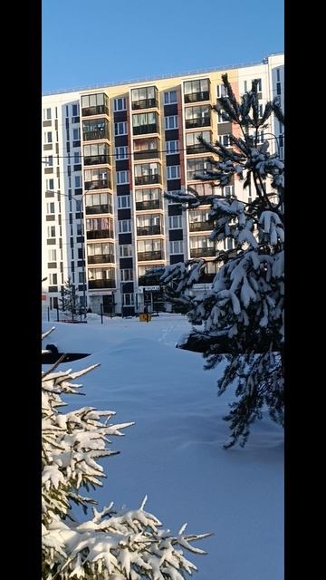 солнечный морозный и снежный день в Петрозаводске смотреть онлайн