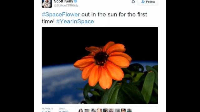 First Flower blooms in space , NASA astronaut shares the picture смотреть онлайн
