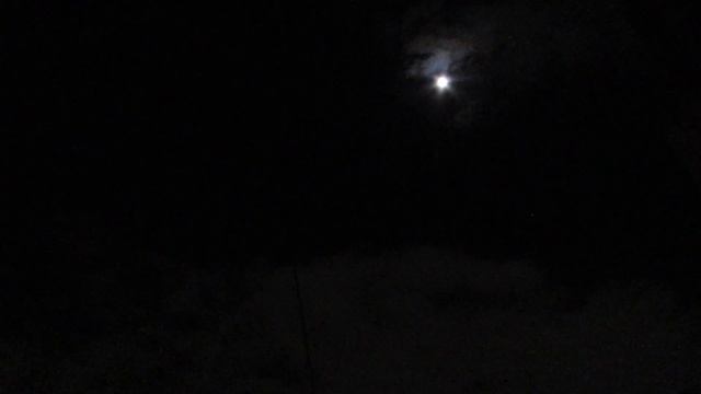 8.12.2022 Ночная сьемка Луны из окна и Кот смотреть онлайн