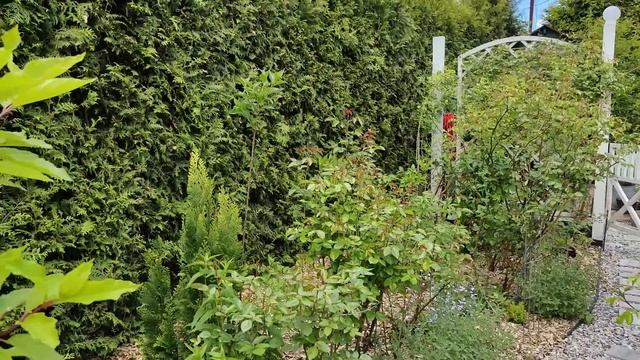 Превращаем пластиковый горшок в керамический смотреть онлайн