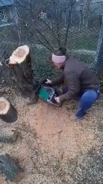 viorica cu benzopila смотреть онлайн