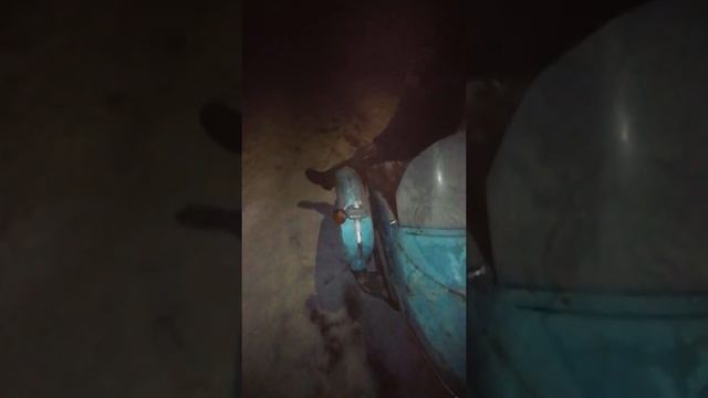 Обзор на непонятную планету смотреть онлайн