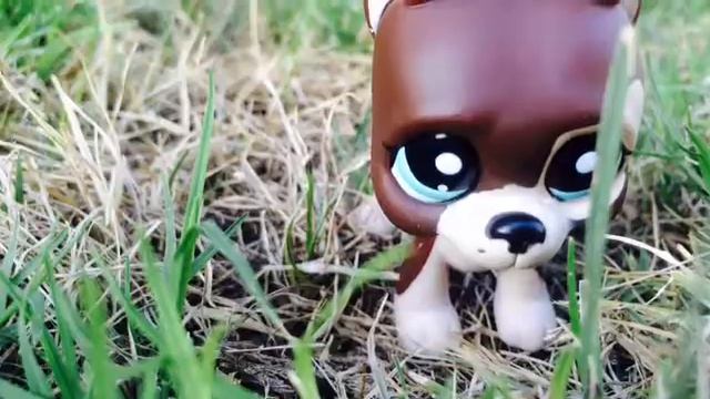 LPS New Girl смотреть онлайн