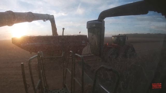 JOHN DEERE X9 1100 Combine Harvesting Corn