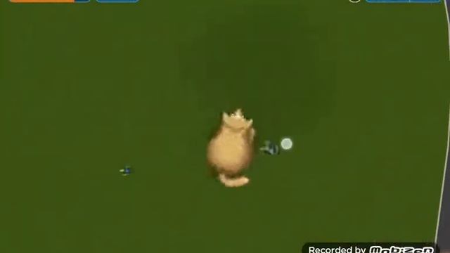 Играем что сьестли кот весь город testy planet 4 смотреть онлайн