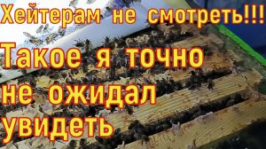 Такое я точно не ожидал увидеть. Хейтерам не смотреть!!!